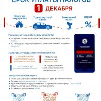 Срок уплаты налогов 1 декабря